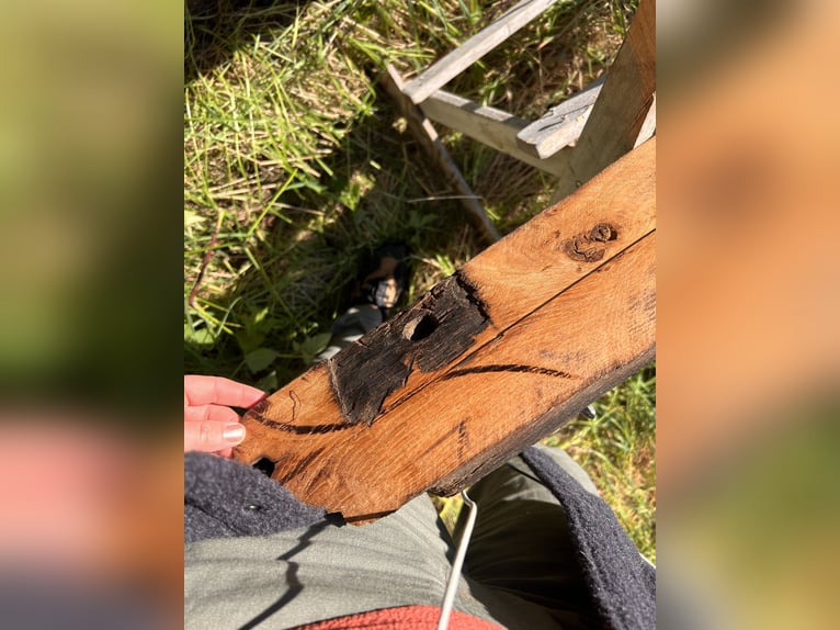 Rustikale Garderobe aus Massivholz