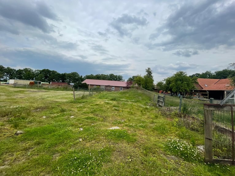 Sanierungsbedürftiger Resthof mit bis zu drei Wohneinheiten und Pferdehaltung in Apen-Godensholt