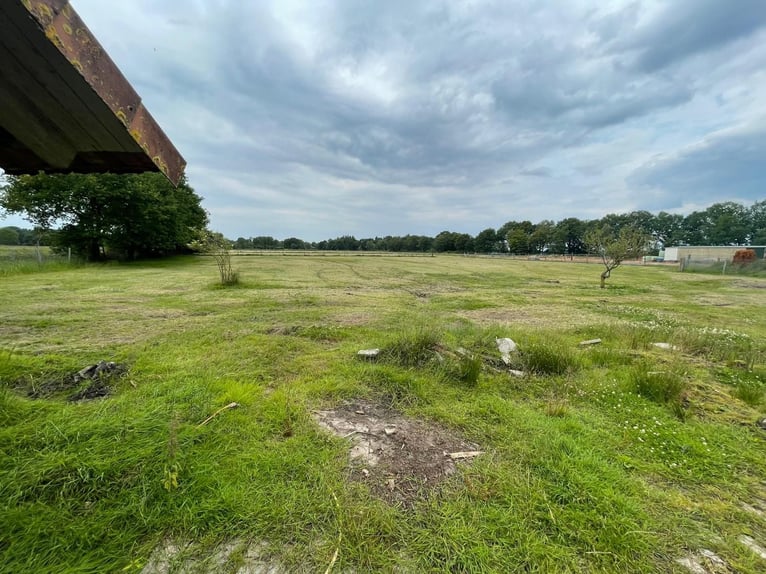 Sanierungsbedürftiger Resthof mit bis zu drei Wohneinheiten und Pferdehaltung in Apen-Godensholt