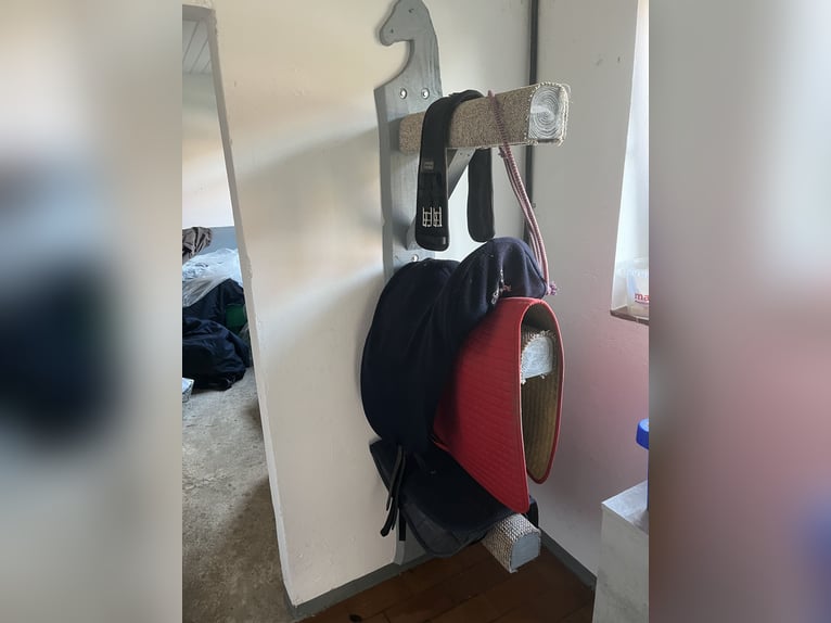 Sattelhalter echt Holz massiv Unikat PLZ 27442 Nähe