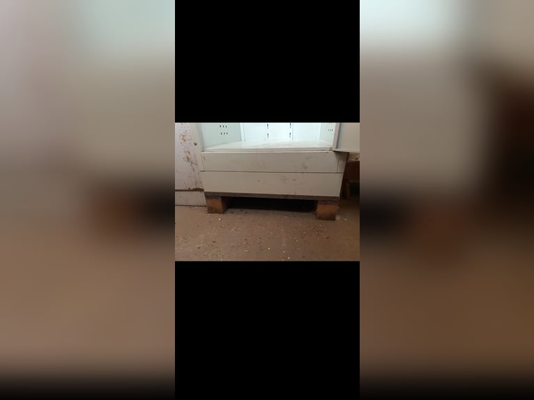 Sattelschrank mit Schloss inklusive Holzpalette - top Zustand