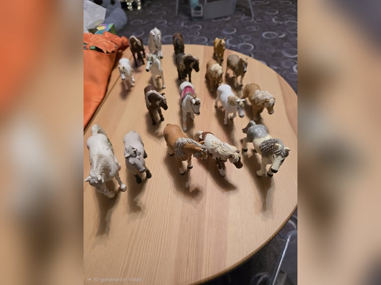 Schleich Paket Komplett