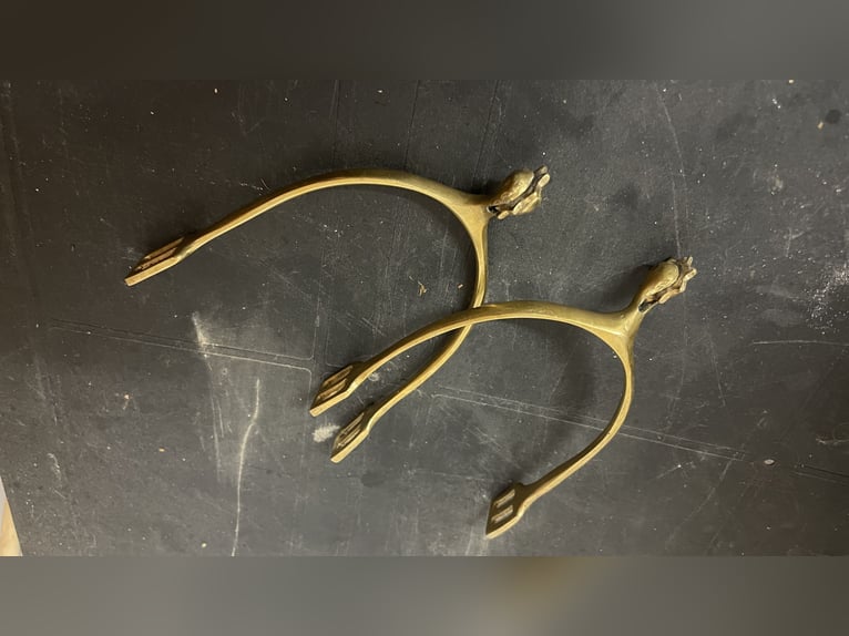 Sporen goldfarben mit Rädchen