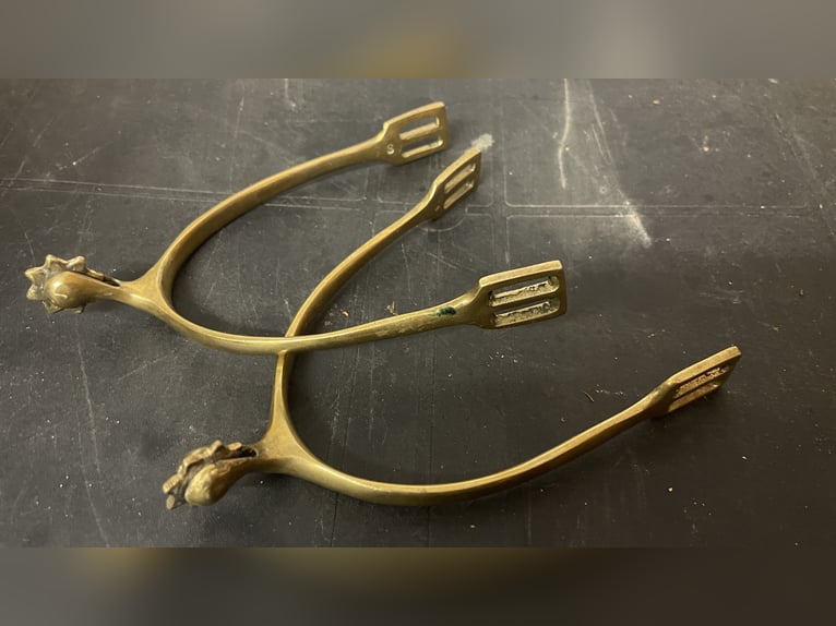 Sporen goldfarben mit Rädchen