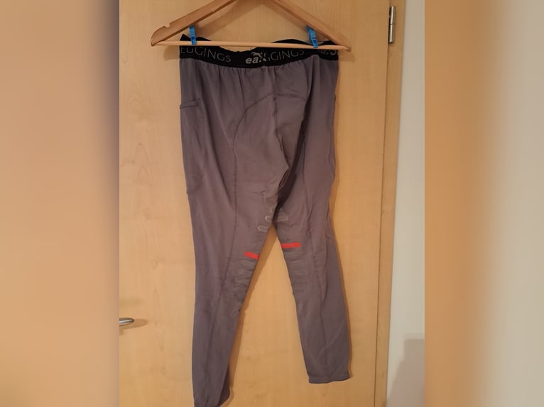verschiedenes Reitzubehör zu verkaufen
