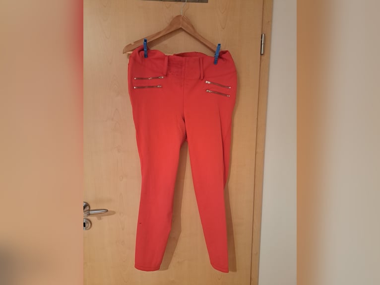 verschiedenes Reitzubehör zu verkaufen