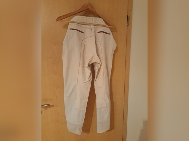 verschiedenes Reitzubehör zu verkaufen