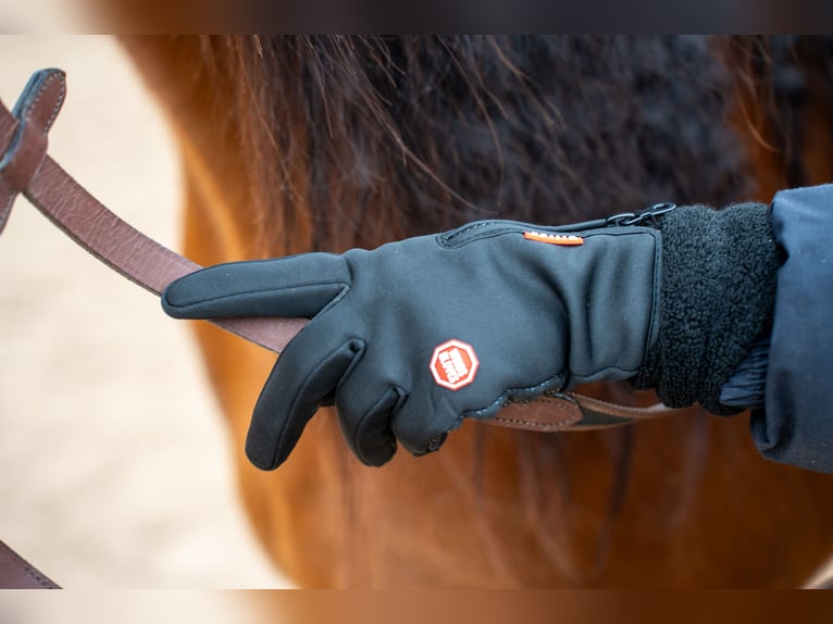 Winterreithandschuhe mit Touchscreen Funktion und Nasentropfenfänger