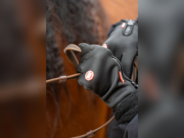 Winterreithandschuhe mit Touchscreen Funktion und Nasentropfenfänger