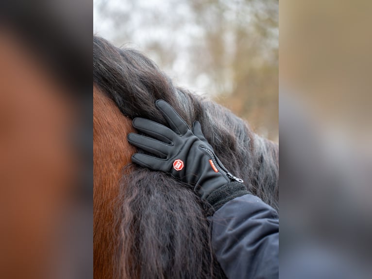 Winterreithandschuhe mit Touchscreen Funktion und Nasentropfenfänger