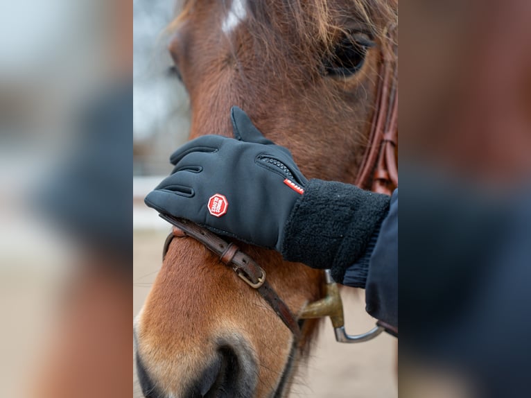 Winterreithandschuhe mit Touchscreen Funktion und Nasentropfenfänger