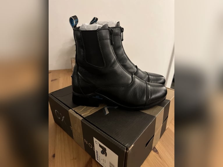 Stiefeletten Steeds Maddock II CX