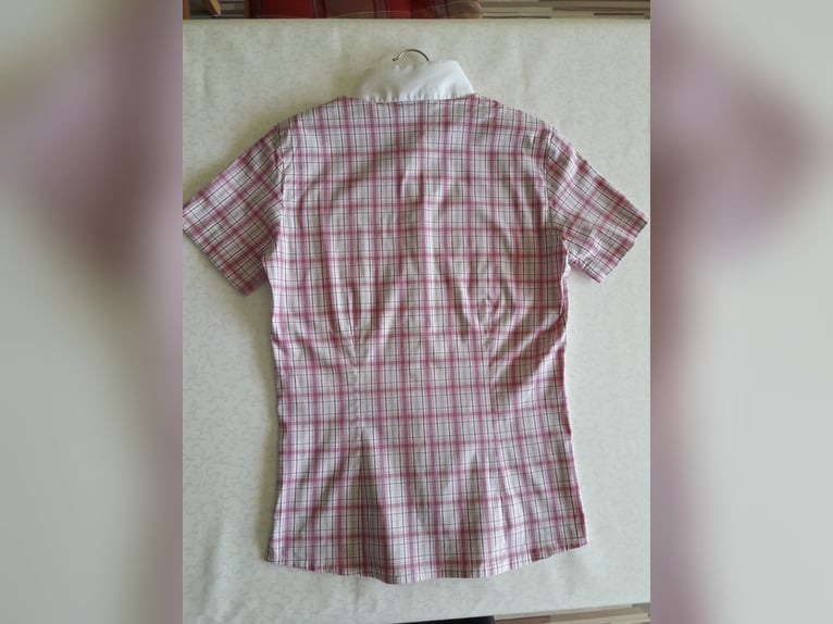 Pikeur Turnier-Shirt / Turnierbluse Gr. 36 kariert