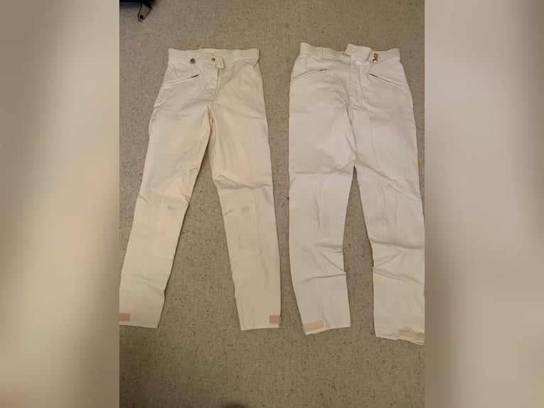 Tunierjacke Dressurfrack Melone Hosen etc. Damen Grösse 36