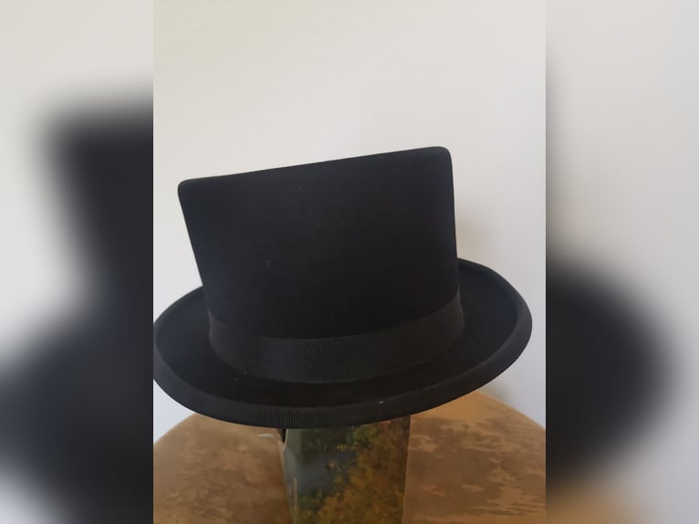 Dressurzylinder