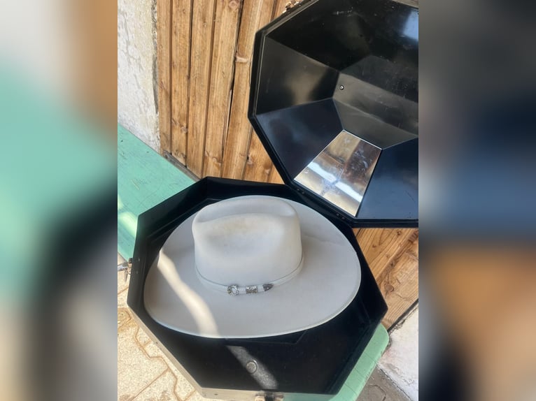 Showhut Damen Western