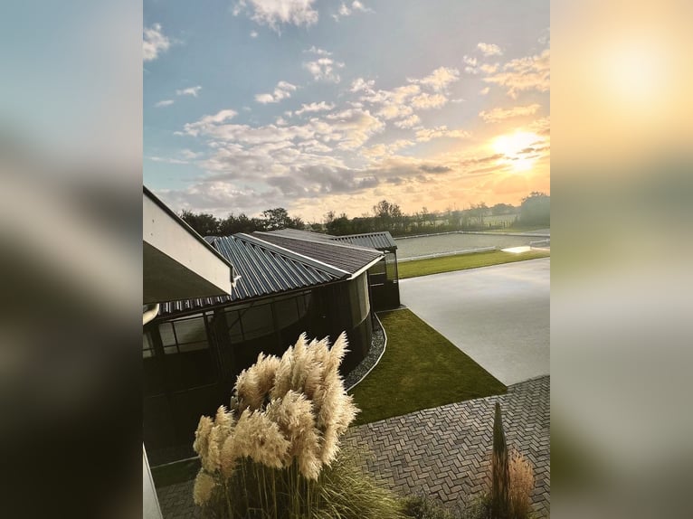 Geheimtipp für deinen Traumurlaub mit eigenem Pferd in Holland