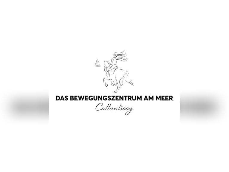 Geheimtipp für deinen Traumurlaub mit eigenem Pferd in Holland