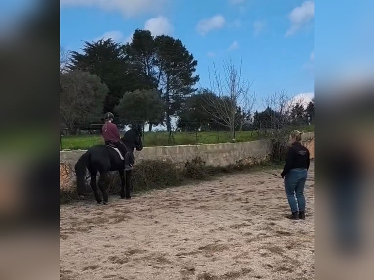 Intensivtage bei Josephine Cyr in Martina Franca - Italien