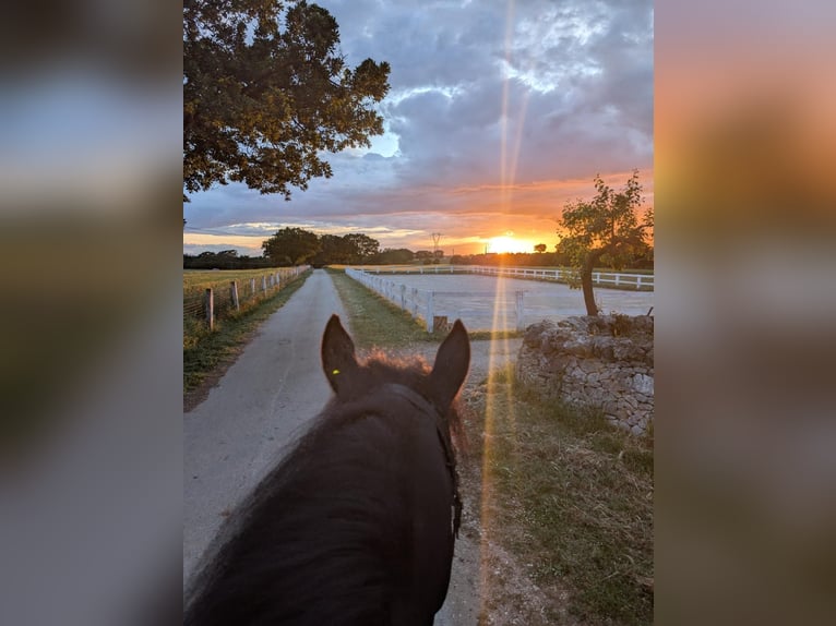Intensivtage bei Josephine Cyr in Martina Franca - Italien