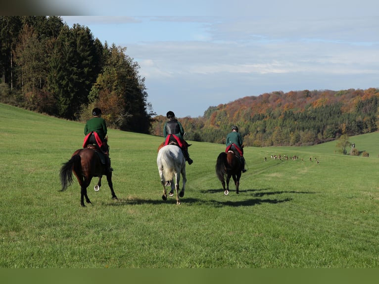 Macht Euch Fit für Jagd