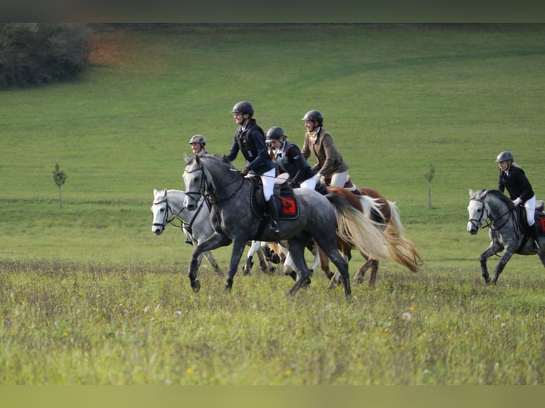 Macht Euch Fit für Jagd