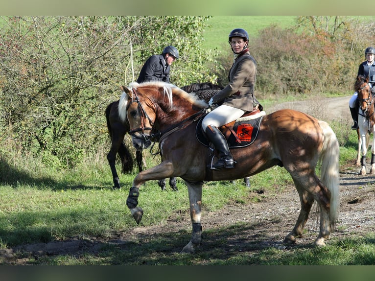 Macht Euch Fit für Jagd