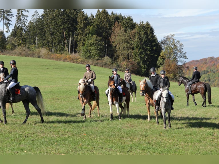 Macht Euch Fit für Jagd