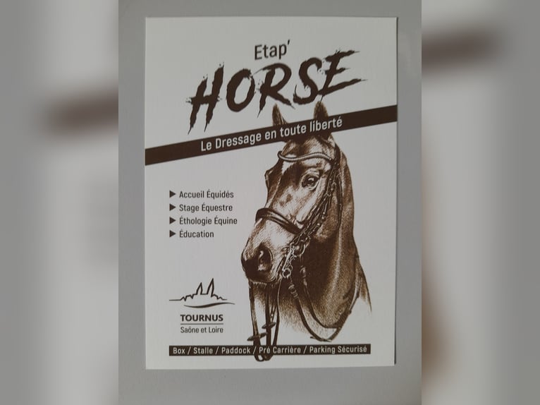 PARTEZ EN VACANCE AVEC VOTRE CHEVAL 