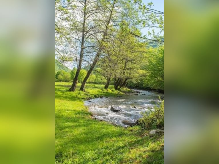 PARTEZ EN VACANCE AVEC VOTRE CHEVAL 