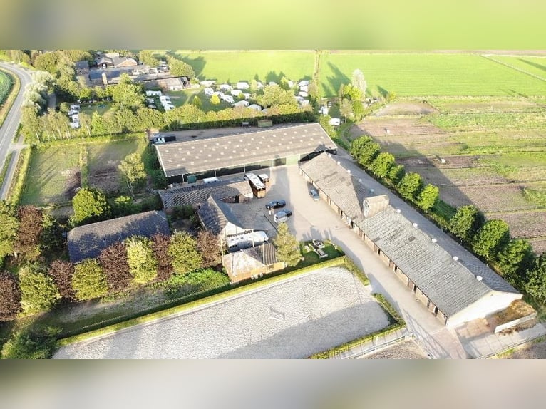 Pferdehotel in der Veluwe!!