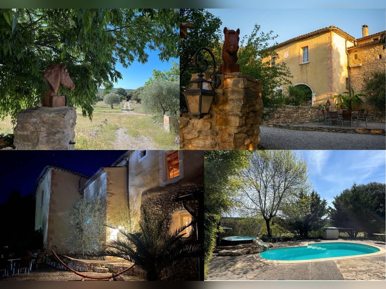 Praktikum / Work & Holiday / Au Pair mit Pferden in Südfrankreich