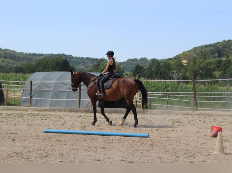 Reiterferien-mehr als nur Reiten