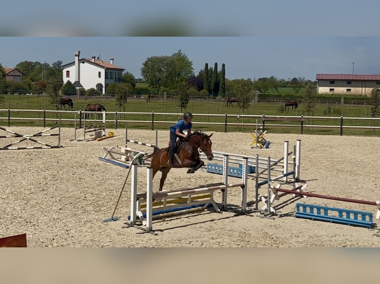 Reiturlaub in Bella Italia🐴🇮🇹