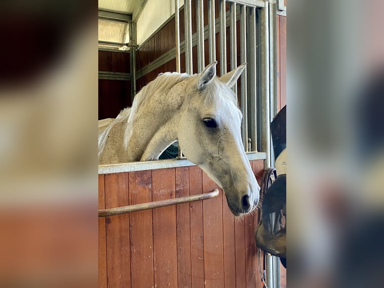 Reiturlaub in Bella Italia🐴🇮🇹
