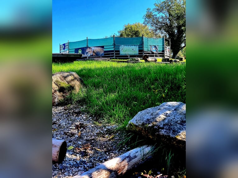 Urlaub mit Deinem eigenen Pferd