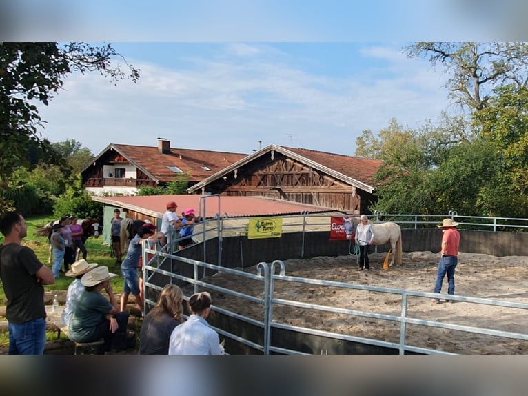 Urlaub mit Deinem eigenen Pferd