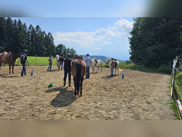 Urlaub mit Deinem eigenen Pferd