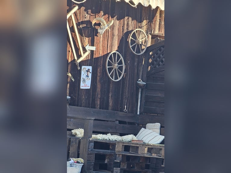 Urlaub mit Deinem eigenen Pferd