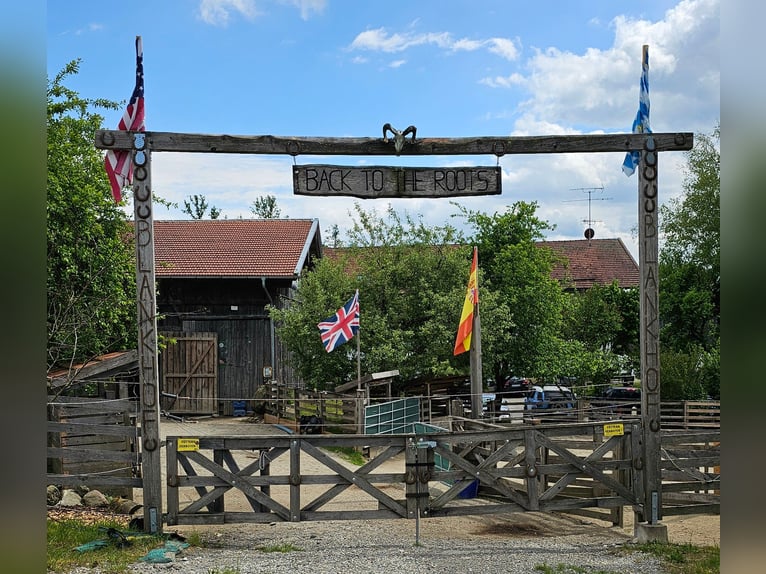 Urlaub mit Deinem eigenen Pferd