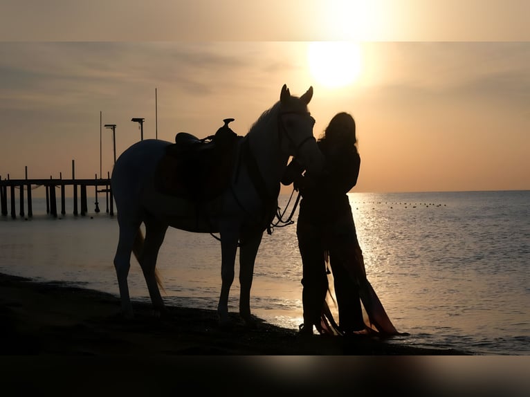 Antalya Reiten am Strand