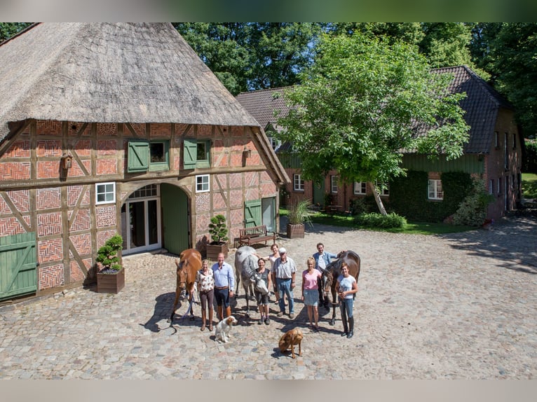 Herzlich Willkommen auf dem Heinshof! – Reiterferien vor dem Tor zur Welt!