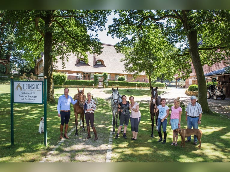 Herzlich Willkommen auf dem Heinshof! – Reiterferien vor dem Tor zur Welt!