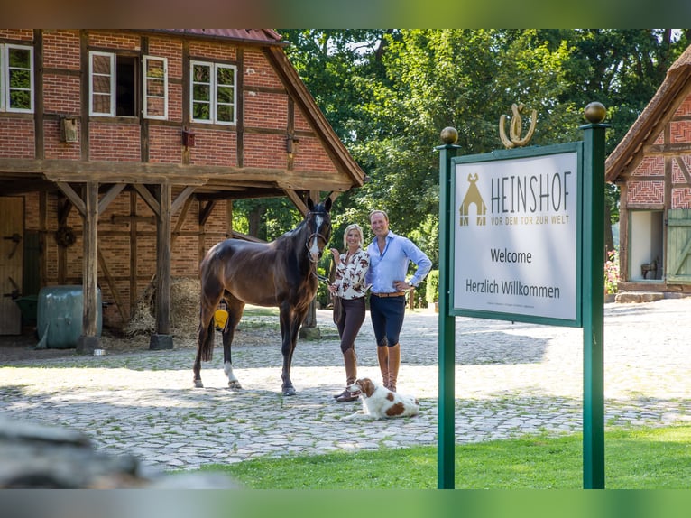 Herzlich Willkommen auf dem Heinshof! – Reiterferien vor dem Tor zur Welt!