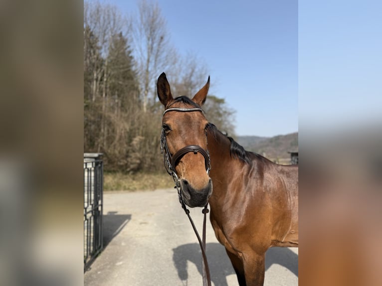 Pflege- & Spazierbeteiligung gesucht –  am Waldrand (Lausen BL)