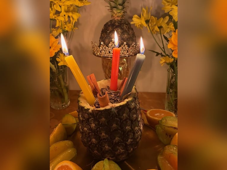 Schnelle und zuverlässige emotionale Rückmeldung. Telefon +22950850644