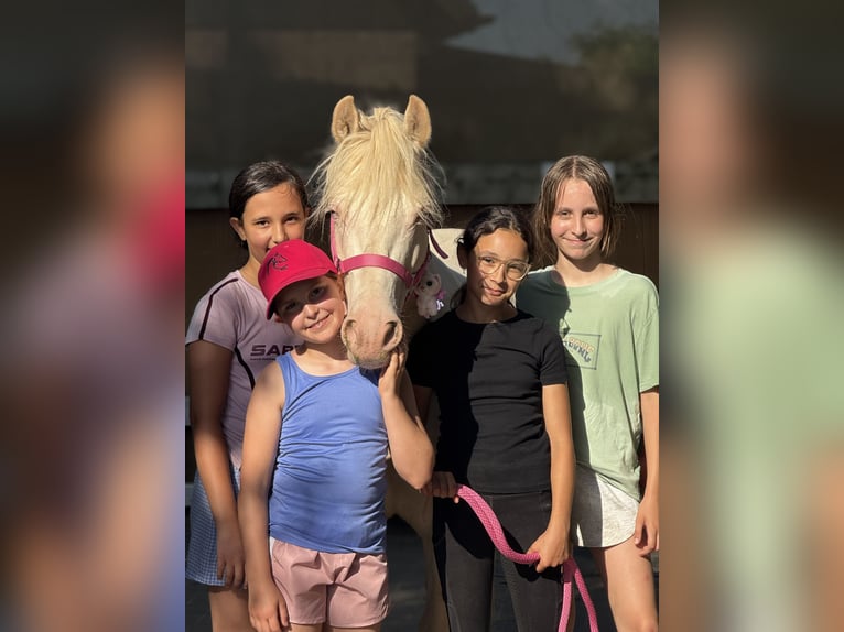 Ferien auf dem Ponyhof - Reiten