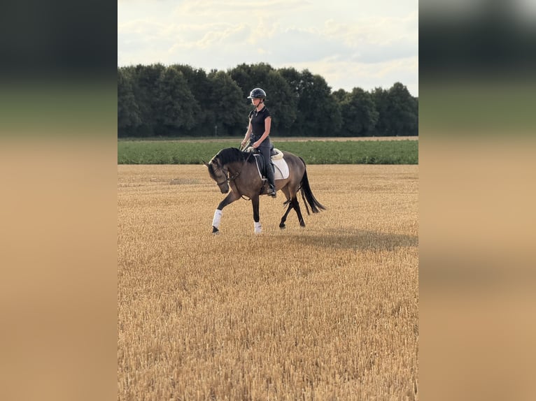 Ferien auf dem Ponyhof - Reiten