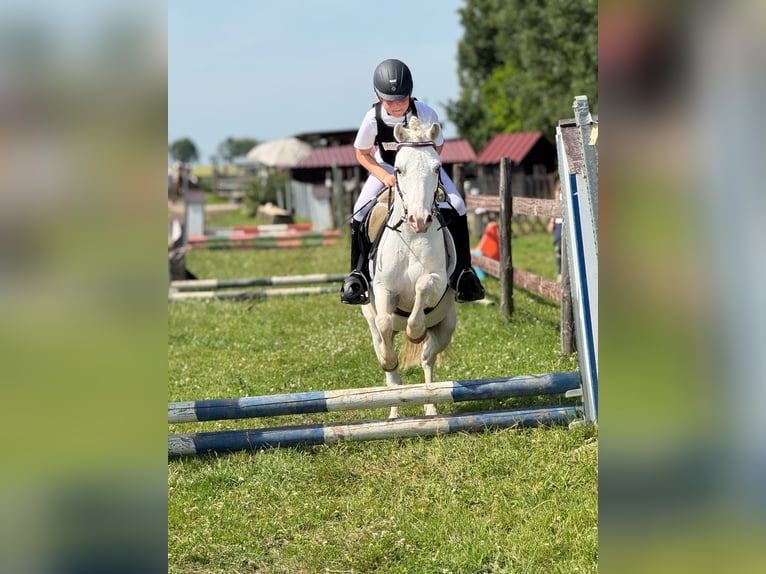 Ferien auf dem Ponyhof - Reiten