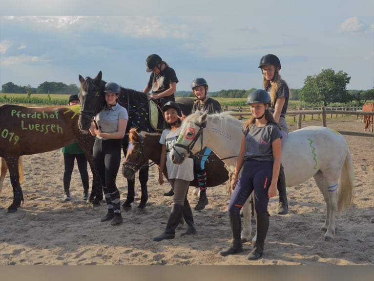 Kinderreitferien in den Sommerferien – unvergessliche Ferien auf dem Reiterhof!